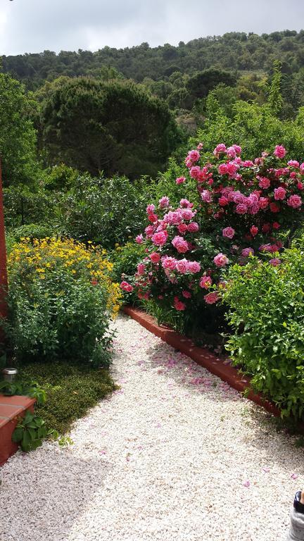 Villa Bougainvilliers Баньюль-сюр-Мер Номер фото